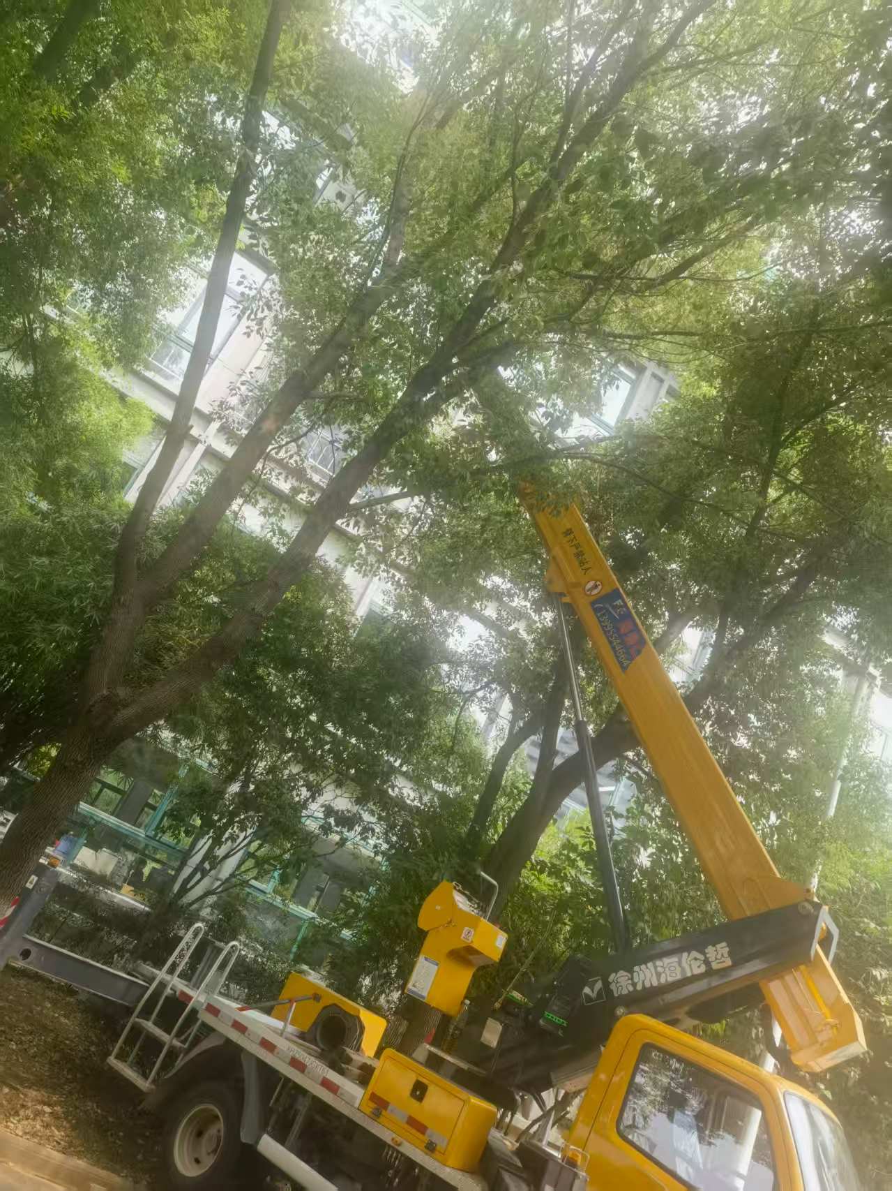 18米直臂升降車(chē)載人修剪樹(shù)枝、園林施工現(xiàn)場(chǎng)